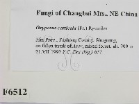 登錄號:F0006512藏品圖，第2張