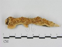 登錄號:F0006512藏品圖，第1張