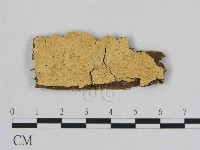 登錄號:F0006513藏品圖，第1張