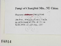 登錄號:F0006514藏品圖，第2張