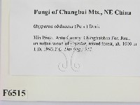 登錄號:F0006515藏品圖，第2張
