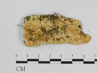 登錄號:F0006516藏品圖，第1張