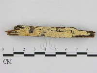 登錄號:F0006517藏品圖，第1張