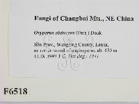 登錄號:F0006518藏品圖，第2張