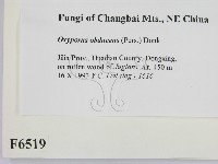 登錄號:F0006519藏品圖，第2張