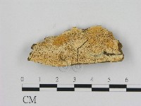 登錄號:F0006519藏品圖，第1張