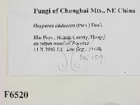 登錄號:F0006520藏品圖，第2張