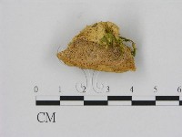 登錄號:F0006521藏品圖，第1張