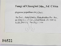 登錄號:F0006522藏品圖，第2張