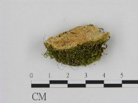 登錄號:F0006522藏品圖，第3張