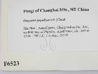 登錄號:F0006523藏品圖，第2張