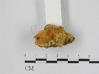 登錄號:F0006523藏品圖，第1張