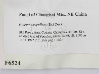 登錄號:F0006524藏品圖，第2張