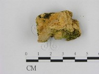 登錄號:F0006524藏品圖，第3張