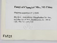 登錄號:F0006525藏品圖，第2張