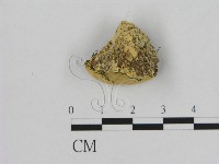 登錄號:F0006525藏品圖，第3張