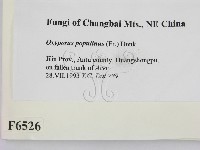 登錄號:F0006526藏品圖，第2張