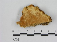 登錄號:F0006526藏品圖，第1張