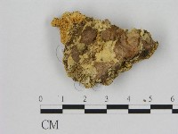 登錄號:F0006526藏品圖，第3張