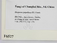 登錄號:F0006527藏品圖，第2張