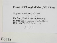 登錄號:F0006528藏品圖，第2張