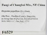 登錄號:F0006529藏品圖，第2張