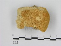 登錄號:F0006529藏品圖，第1張