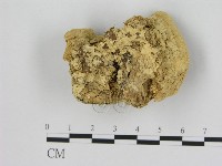 登錄號:F0006529藏品圖，第3張