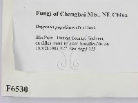 登錄號:F0006530藏品圖，第2張