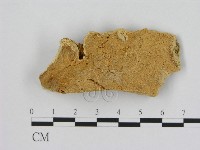 登錄號:F0006530藏品圖，第1張