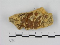 登錄號:F0006530藏品圖，第3張