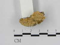 登錄號:F0006531藏品圖，第1張