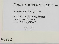 登錄號:F0006532藏品圖，第2張