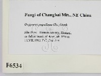 登錄號:F0006534藏品圖，第2張