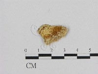 登錄號:F0006535藏品圖，第1張