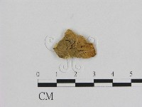 登錄號:F0006535藏品圖，第3張