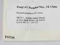 登錄號:F0006536藏品圖，第2張