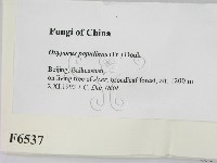 登錄號:F0006537藏品圖，第2張