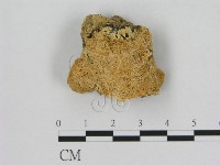 登錄號:F0006537藏品圖，第1張