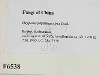 登錄號:F0006538藏品圖，第2張