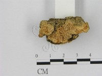 登錄號:F0006539藏品圖，第1張