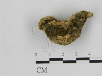 登錄號:F0006539藏品圖，第3張