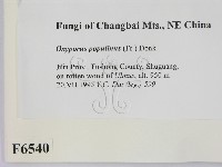 登錄號:F0006540藏品圖，第2張