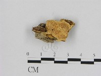 登錄號:F0006540藏品圖，第1張