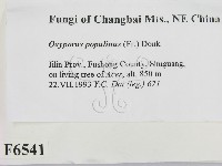 登錄號:F0006541藏品圖，第2張