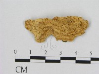 登錄號:F0006541藏品圖，第1張