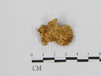 登錄號:F0006544藏品圖，第3張