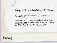 登錄號:F0006545藏品圖，第2張