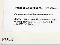 登錄號:F0006546藏品圖，第2張