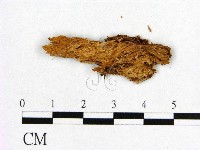 登錄號:F0006546藏品圖，第3張